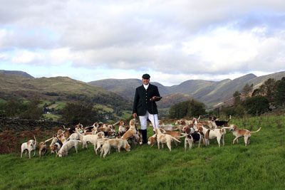 Beagle photography by Neil Salisbury